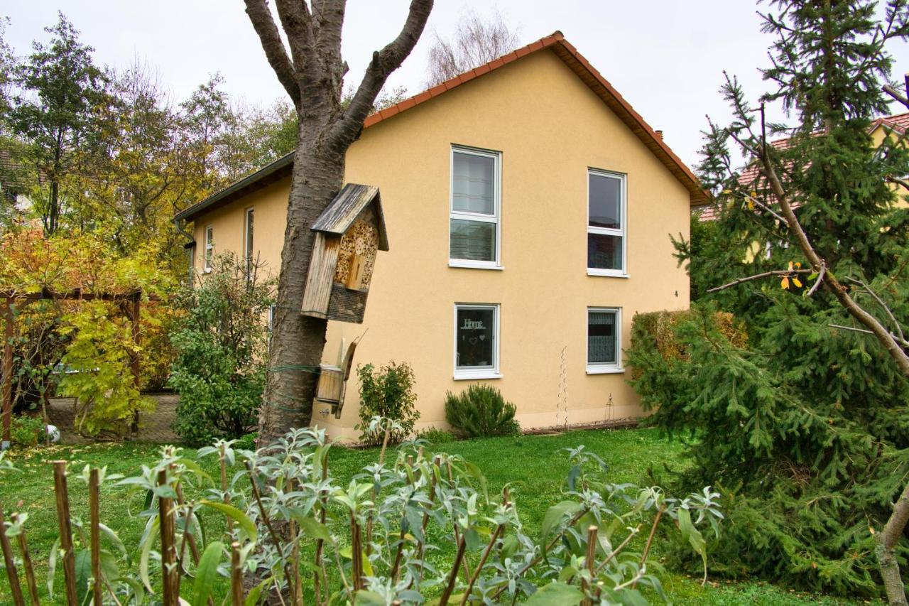 Mycozyplace - Gemuetliches Zimmer Fuer Zwei Dresden Dış mekan fotoğraf